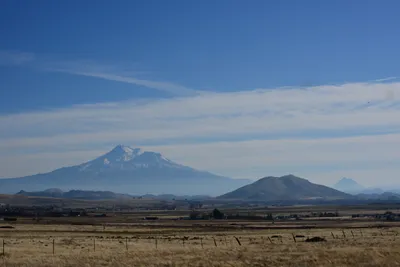 DSC_3130 (Large).JPG